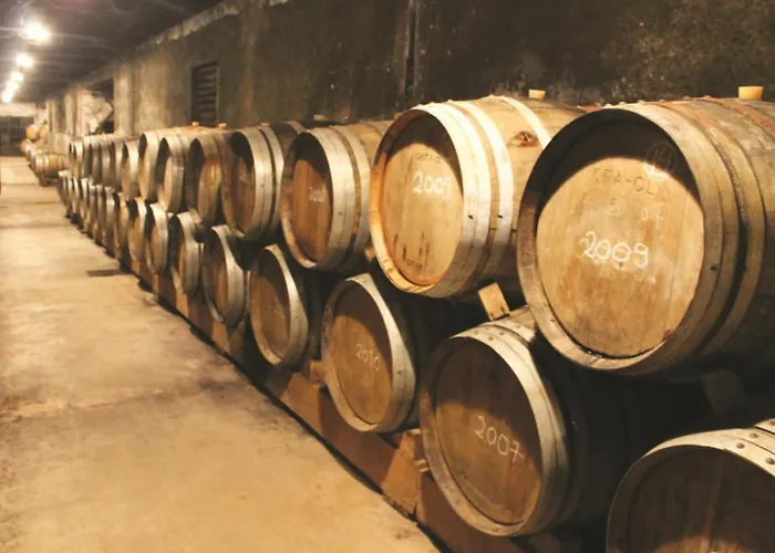 Villa Santa Efigenia